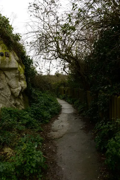 DSC_1294 (Large).JPG